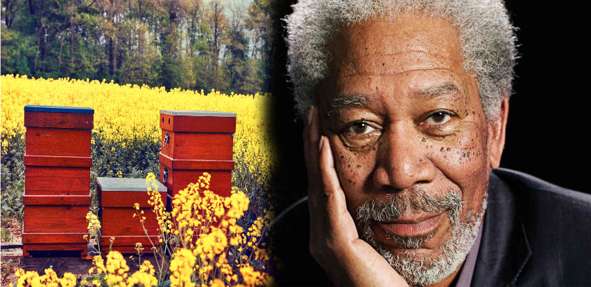 Morgan Freeman glumu zamijenio pčelarstvom - Akta.ba