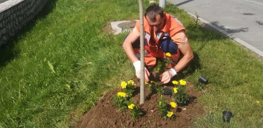 Ekopak posadio drvored u Gračanici