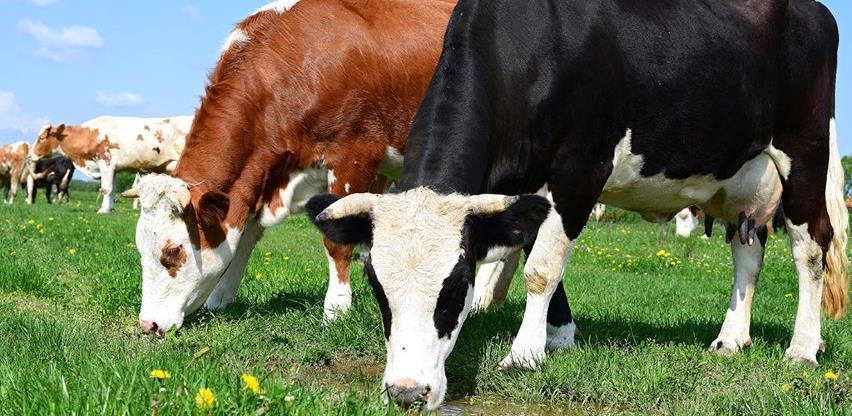 investicije u poljoprivredi