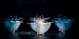 Giselle