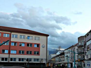 Slika