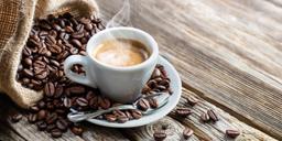 kafa