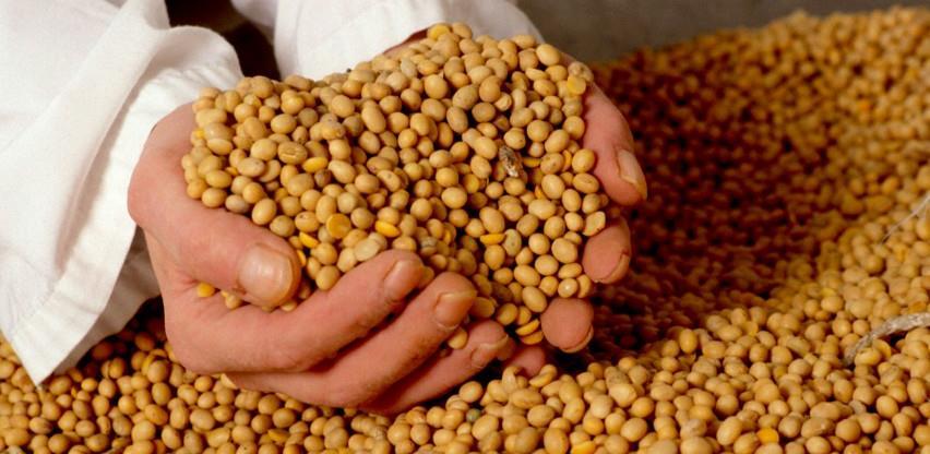 Egić: Vidljivi pomaci u proizvodnji soje