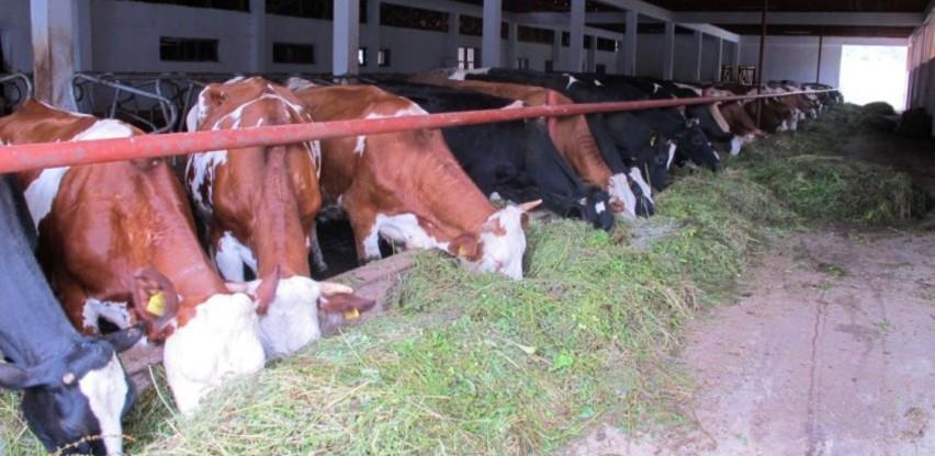 U HBŽ-u u 2019. poljoprivrednim proizvođačima isplaćeno 12,9 milijuna maraka