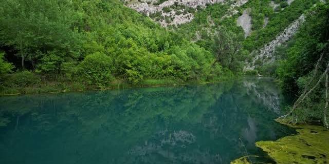 Bunica