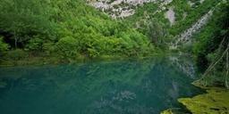Bunica