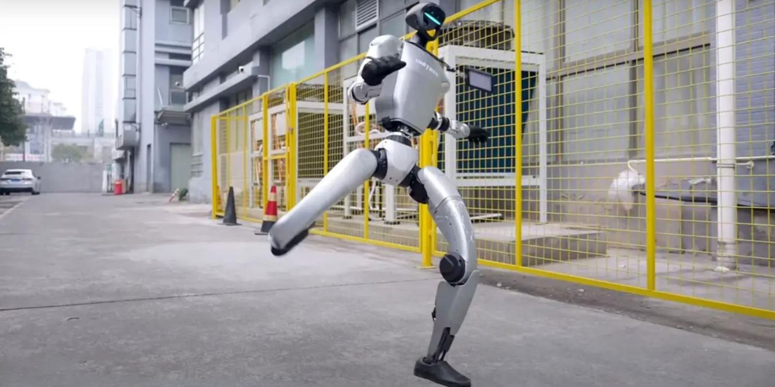 kung fu robot
