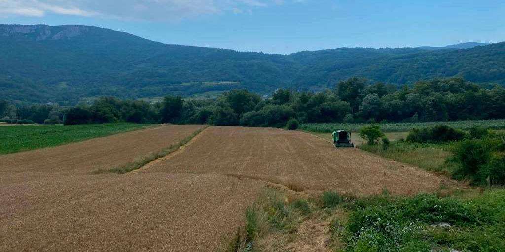 JEČAM