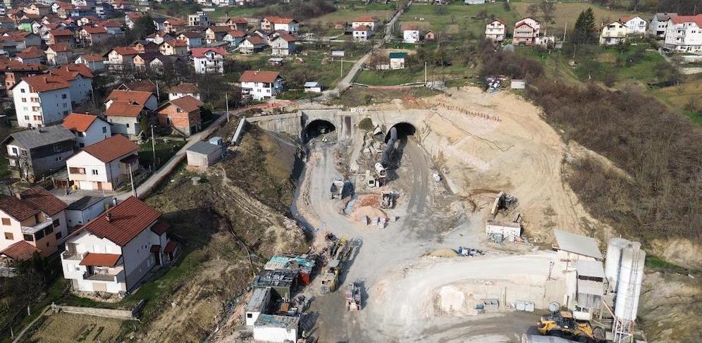 šteta kobilja glava