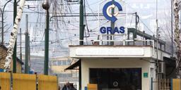 Gras