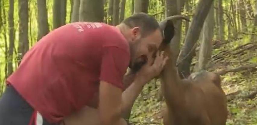 Uzgoj koza šansa za brojne seoske sredine (VIDEO)