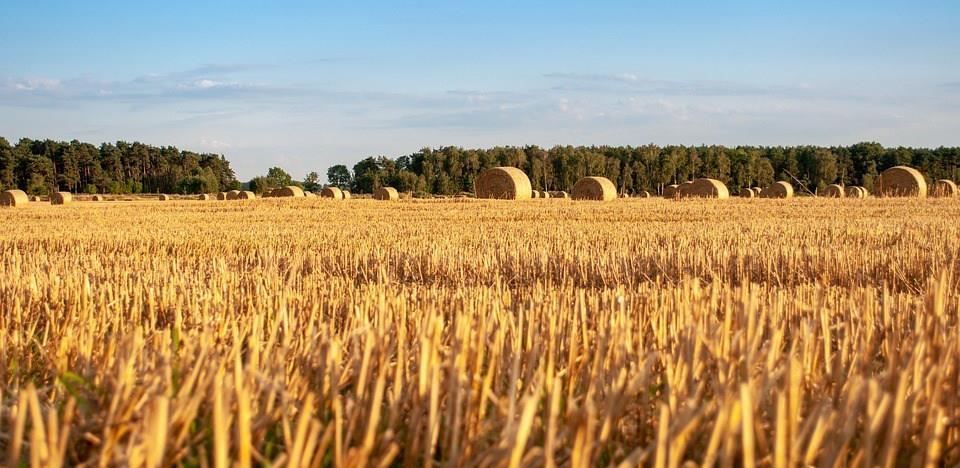 Poljoprivredno zemljište