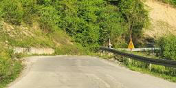 foča