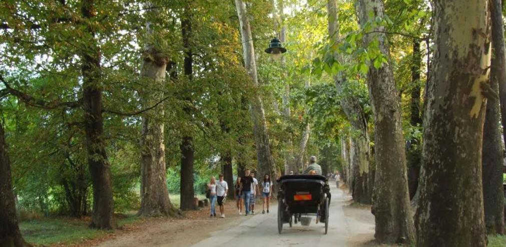Ilidža zauzima vodeću poziciju u turizmu