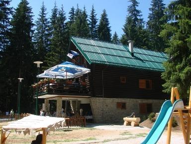 Slika