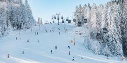 Jahorina