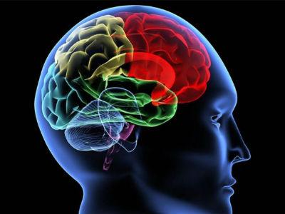 Geni odlučuju o emotivnosti