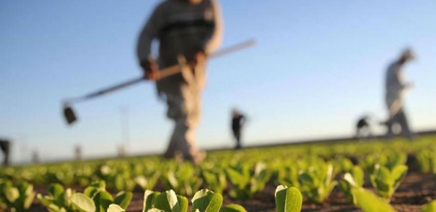 model ruralnog razvoja