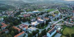 Vitez