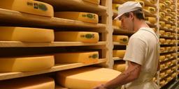 comte