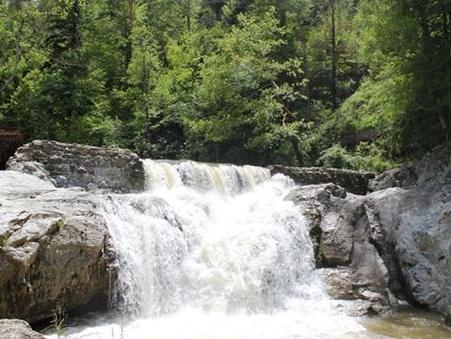Park prirode Tajan: Jedinstvena zelena oaza u BiH
