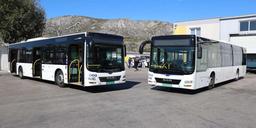 busevi
