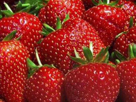 Jagode snižavaju kolesterol, navalite