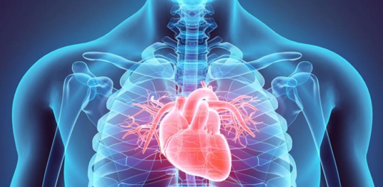 Kardiovaskularna oboljenja