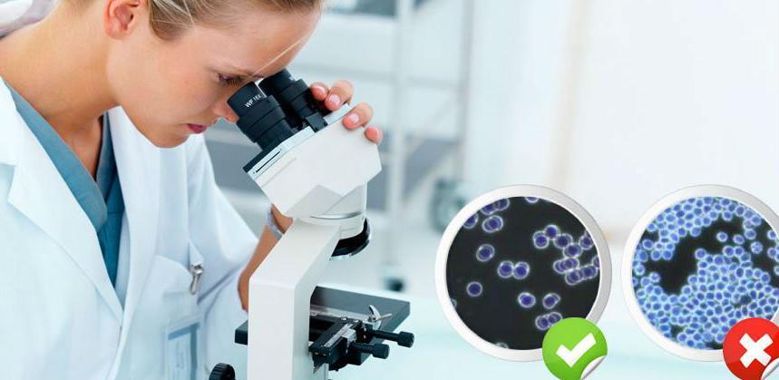 Test koji otkriva 8 najčešćih karcinoma prije nego što postanu smrtonosni