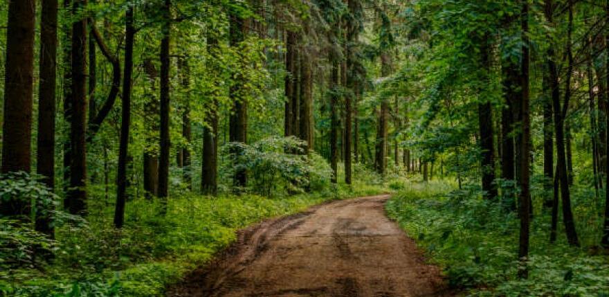 ISO 14001 - seminar za interne auditore