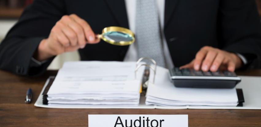 auditor