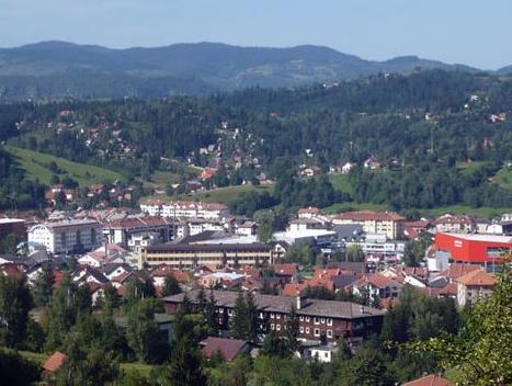 Češki privrednici zainteresovani za investiranje u drvnu industriju