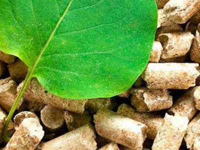 Investicija: U 40 općina može biti zaposleno po 25 radnika