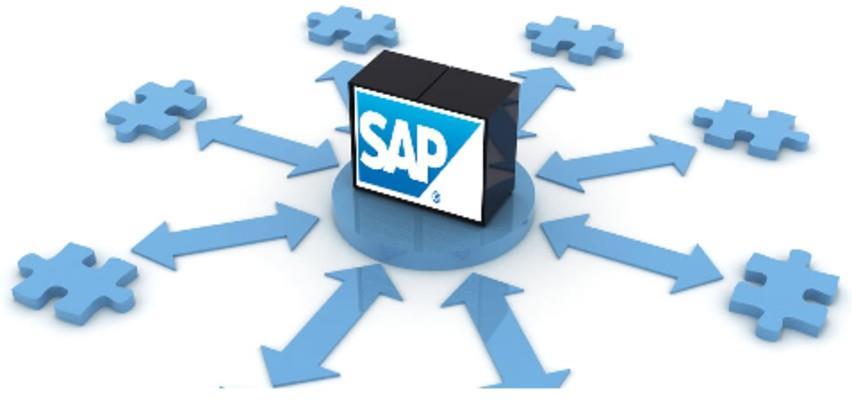 Kurs: SAP Enterprise Resource Planning