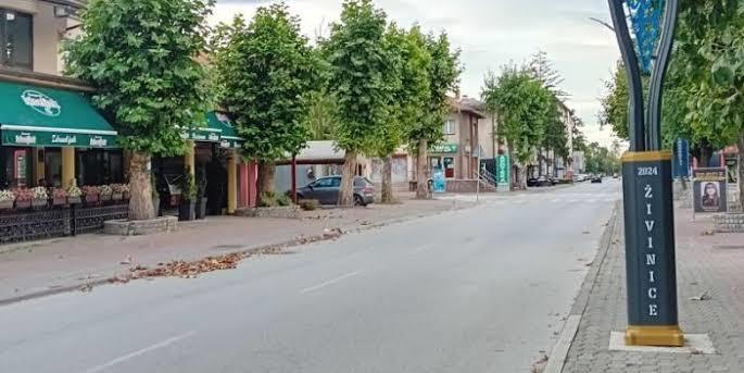putevi zivinice