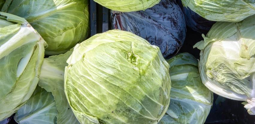 Zaštititi semberski kupus oznakom geografskog porijekla