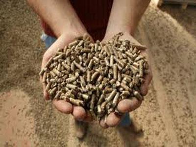 Postavljen kamen-temeljac za fabriku peleta u Ribniku