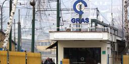 gras