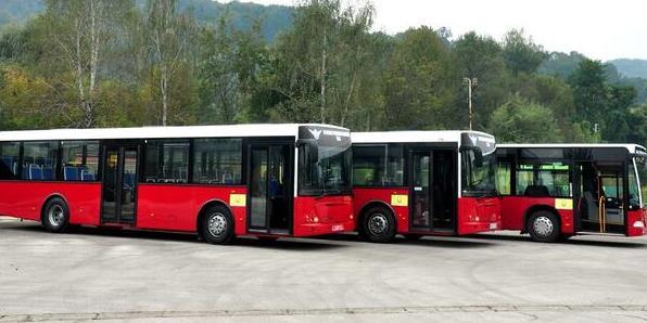 Bus