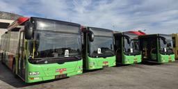 Mostar bus