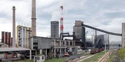 koksara 