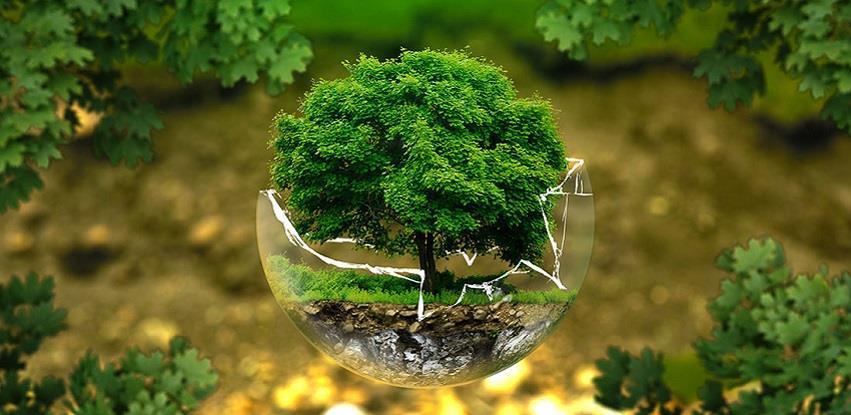 organske zagađujuće materije