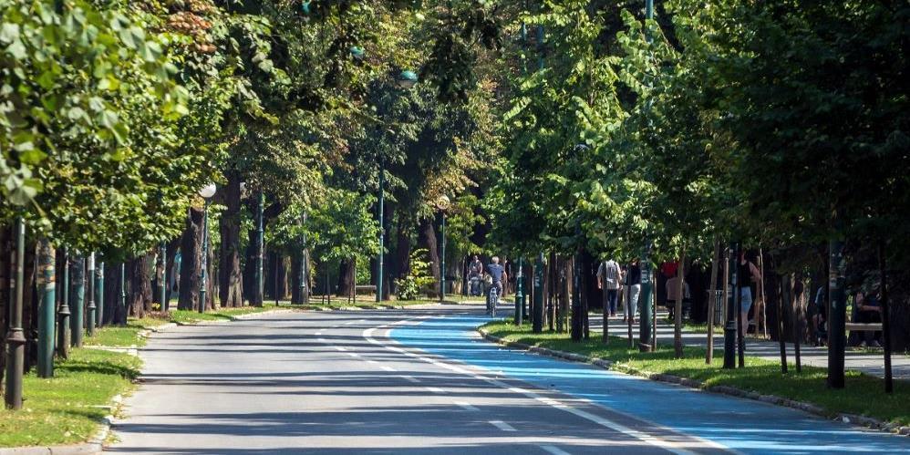 Vilsonovo Šetalište