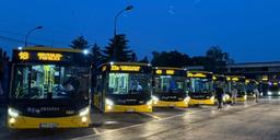busevi