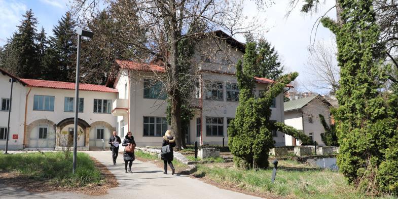 Vila Braun