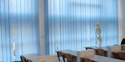 skola