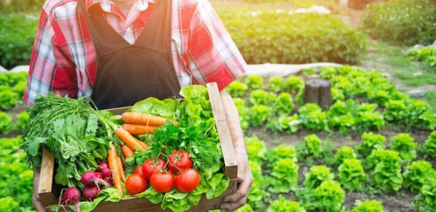 Pravilnik o postupku izdavanja potvrde za organske proizvode iz uvoza