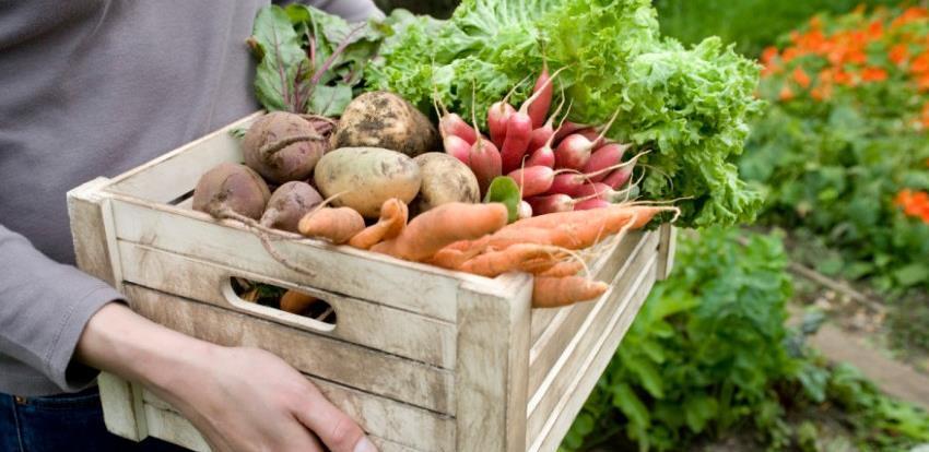 poljoprivredni proizvodi 