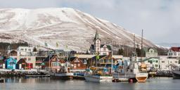Reykyavik