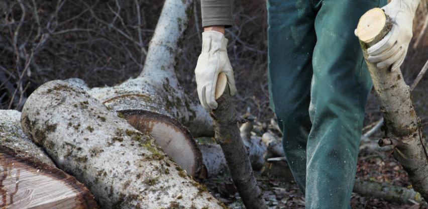U FBiH rast proizvodnje i prodaje šumskih sortimenata
